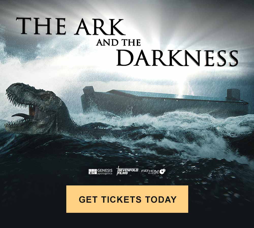 The Ark and the Darkness